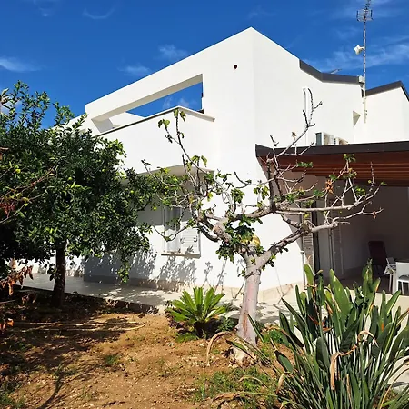 Playa Apartment